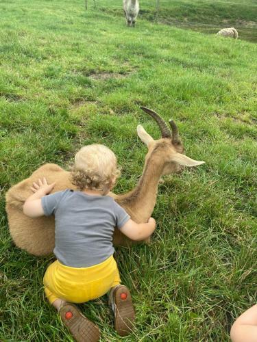 Poppes Ranch Bauerhof & Campingpl�tze