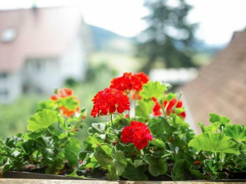 Apartamento Ferienwohnung Im Haus Allgaier