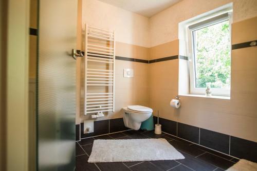 Apartamento Ferienwohnung Am Zeulenrodaer Meer