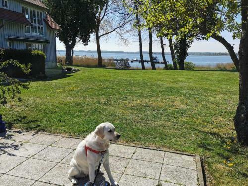 Apartamento Paradies Am Peenestrom
