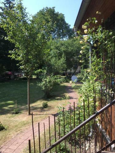 Apartamento Ferienwohnung Kastanienblick Oder Parkblick