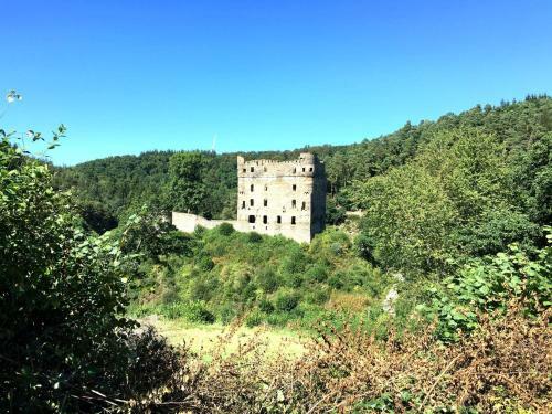 Apartamento Ferienhaus Am Moselradweg