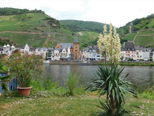 Apartamento Die Ferienwohnung Lindenhof