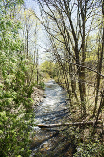 Hotel Millcroft Inn & Spa