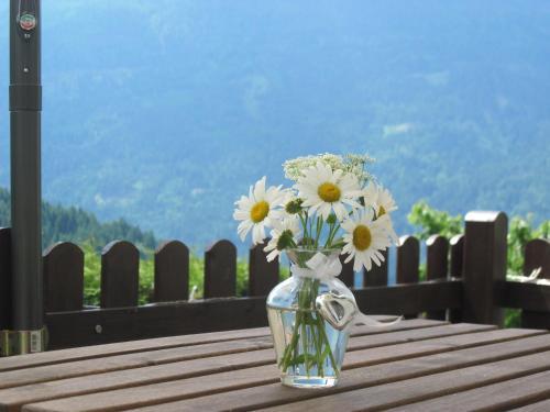 Hostal Chalet Catton