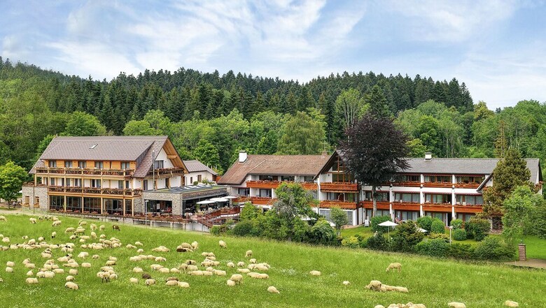 Hotel Gr�ner Wald