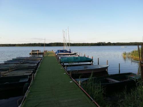 Apartamento Ferienwohnung Zossen