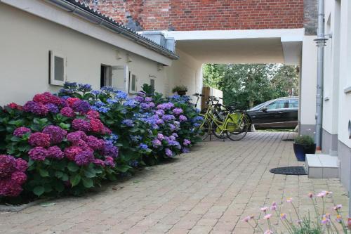 Apartamento Stadtwohnung 5