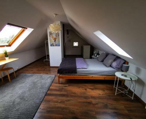 Zwickau City Apartment