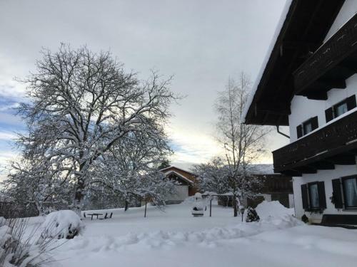 Agroturismo Brausamhof