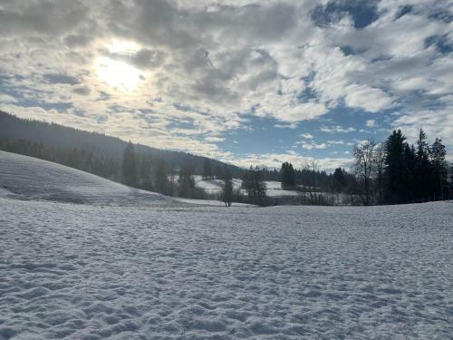 Allg�uliebe