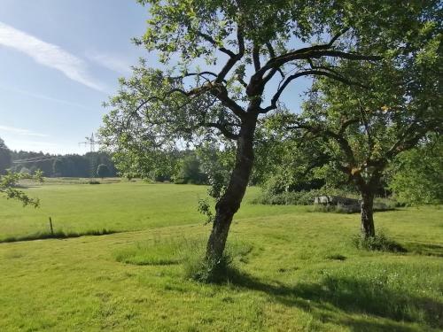 Apartamento Marxhof Seebruck Am Chiemsee