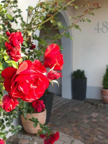 Apartamento Landhaus Sonnenbichl