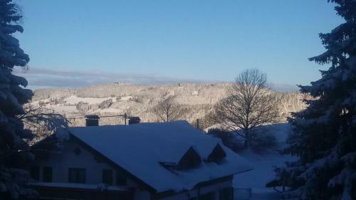Apartamento Ferienwohnung Tannenblick