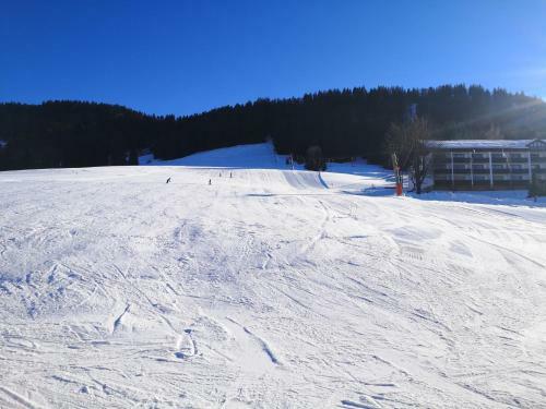Apartamento Ferienwohnung Alpengaudi