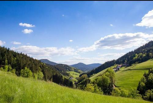 Hostal G�stehaus Haaser