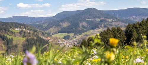 Hostal G�stehaus Haaser