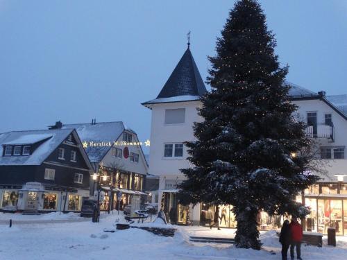 Winterberg Sport Apartment 5