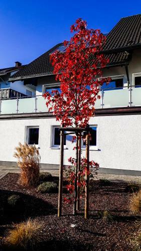 Apartment Schanzenstra�e 690 M �. M
