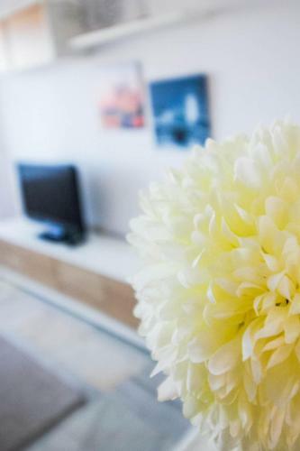 Apartamento Expoholidays - Corinto 4�g