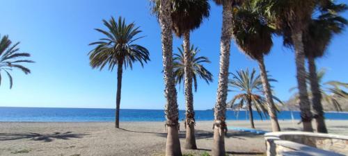 Apartamento Al-�ndalus Suite Tropical