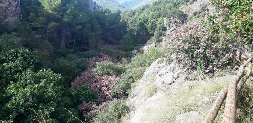 Hostal Rural De Cuadros