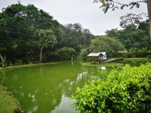 Caba�a Hostal La Calera Amaz�nica