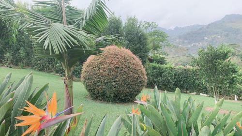 Villa Espectacular Finca Girardota