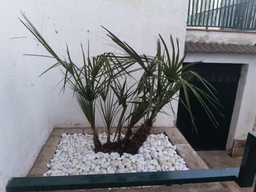 Casa Unifamiliar En Calafell