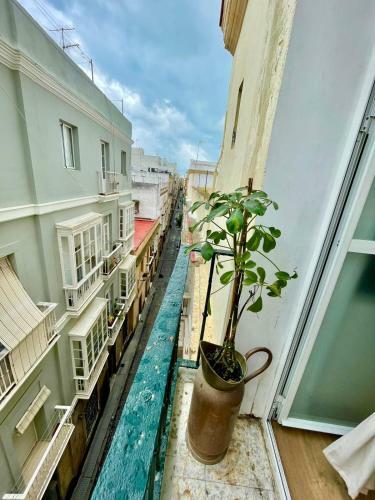 Apartamento Gatu Villa Galeona