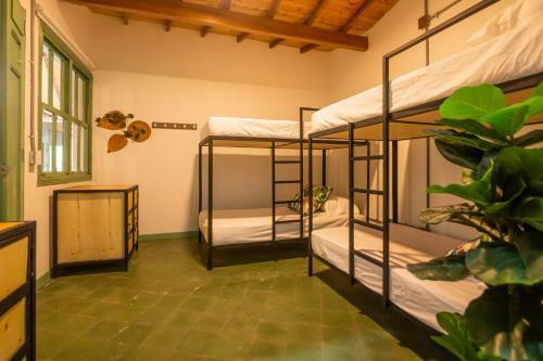 Hostal Centro Hostel Medellin