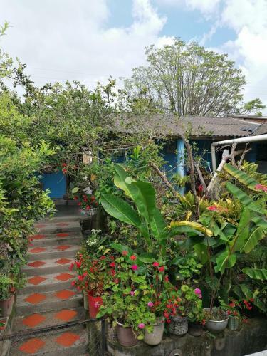 Hostal La Casona Pueblo Bello