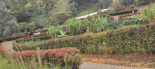 Casa Finca Descanso Dal�