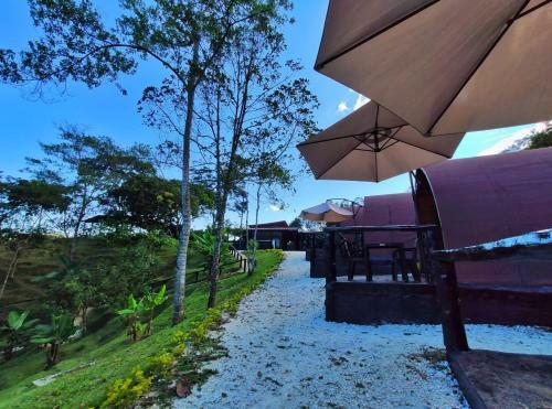Glamping El Tabor