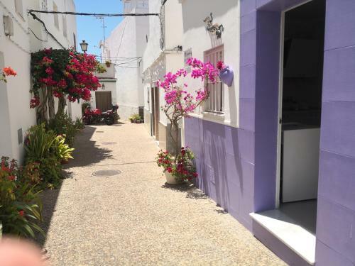 Apartamento Coraz�n De Conil