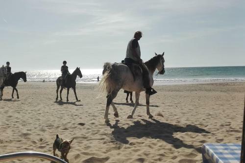 Apartamento Coraz�n De Conil