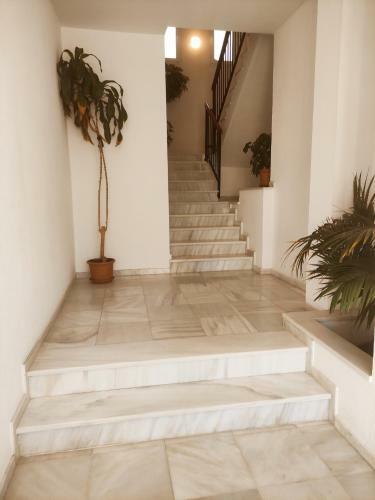 Apartamento Conile�o Con Terraza