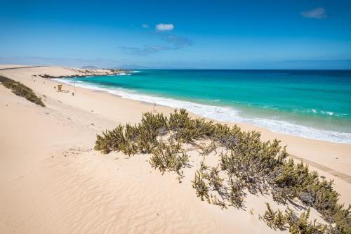 Apartamento Home2book Stunning Corralejo Center