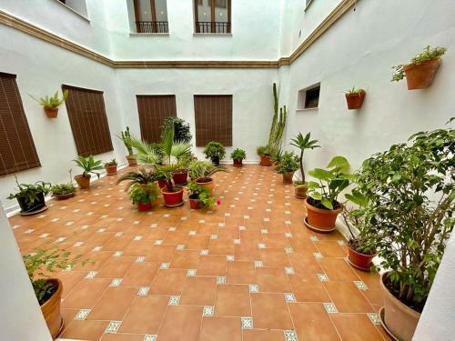 Apartamento Gatu Prioral House