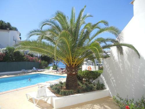 Apartamento El Pino 104