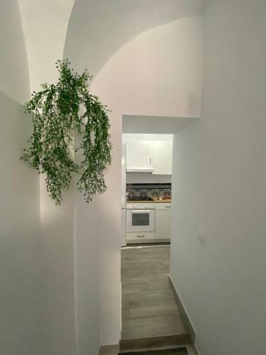 Apartamento En Casa de Pueblo Tradicional