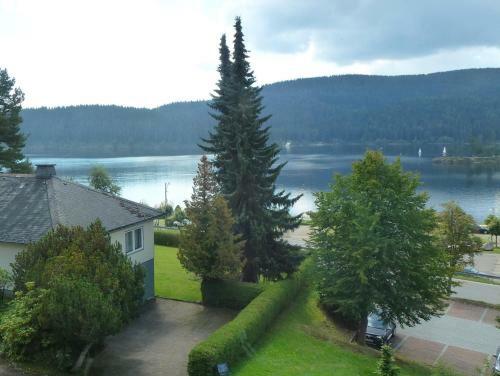 Apartamento Ferienwohnung Schluchsee