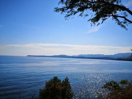 Hotel Bohol-lahoy Dive And Beach Resort
