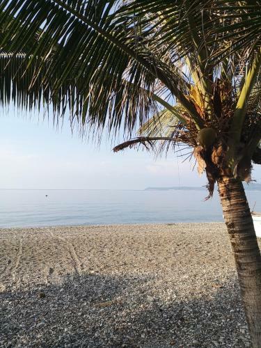 Hotel Bohol-lahoy Dive And Beach Resort