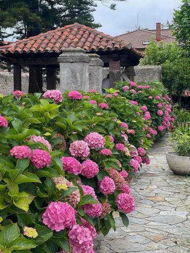 Villa La Solana De Mogro