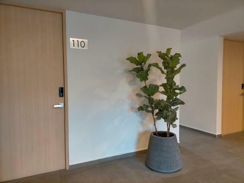 Apartamento Nuevo E Impecable Departamento Ocean Blue