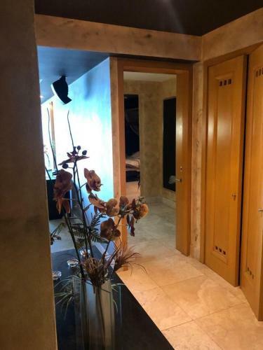 Apartamento Vidanta Nuevo Vallarta
