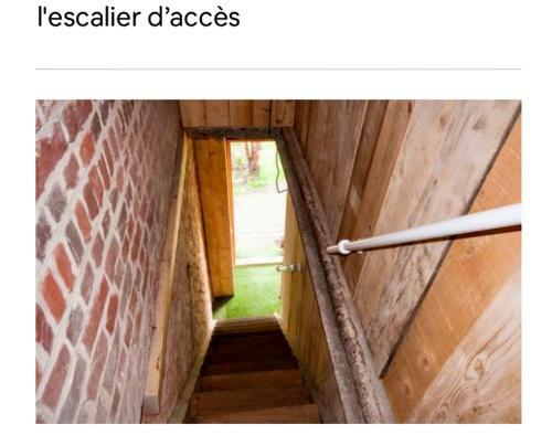 La Chicor�e
