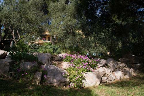 Chambre D'h�te Mont Ventoux
