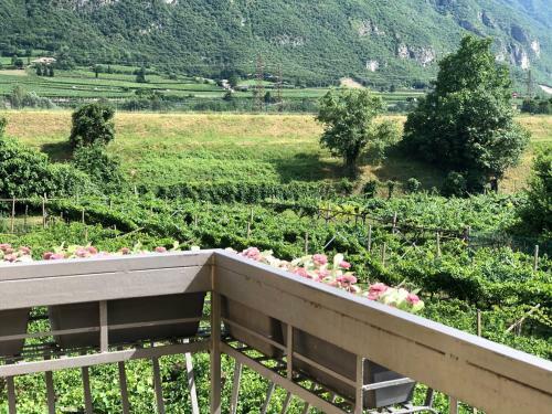 Hostal Affittacamere Vignola